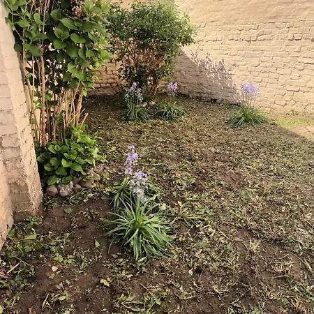 Paul Bert-2 Avec Extérieur Privatif Appartement *